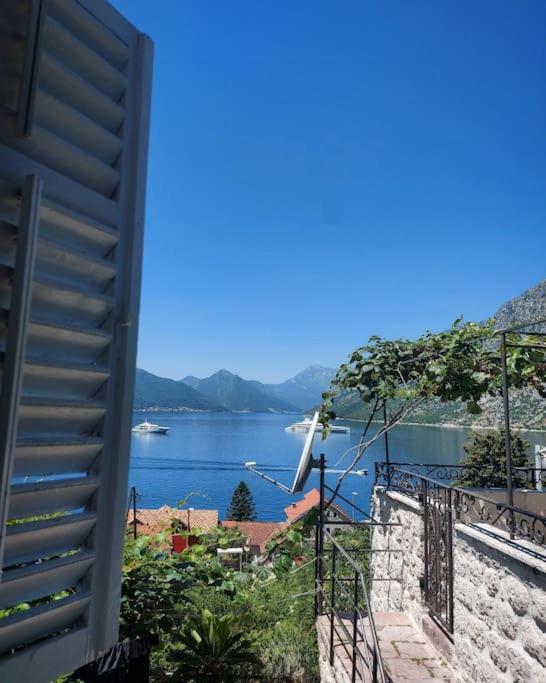 Apartment Terazza Di Ljuta 科托尔 外观 照片